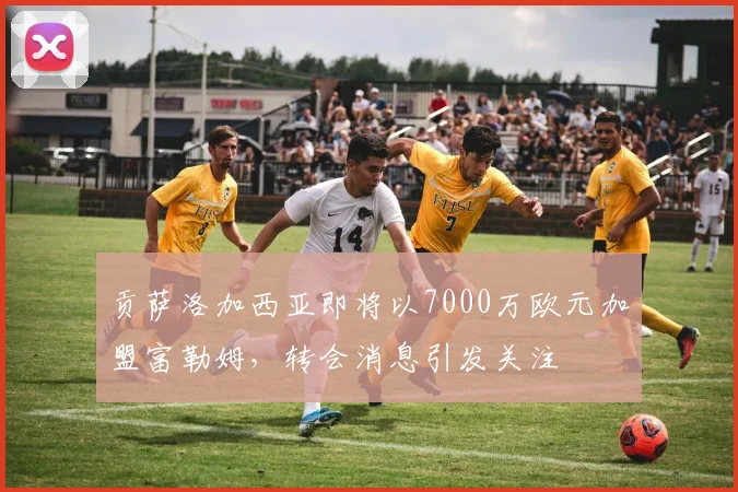 贡萨洛加西亚即将以7000万欧元加盟富勒姆，转会消息引发关注