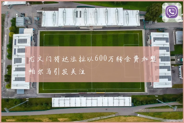 尤文门将达法拉以600万转会费加盟帕尔马引发关注