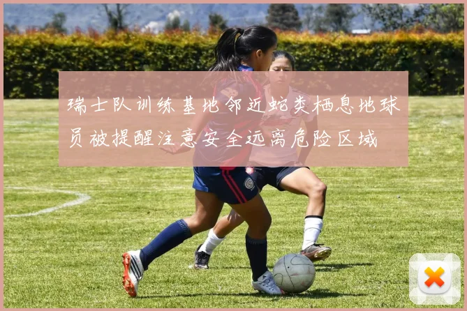 瑞士队训练基地邻近蛇类栖息地球员被提醒注意安全远离危险区域